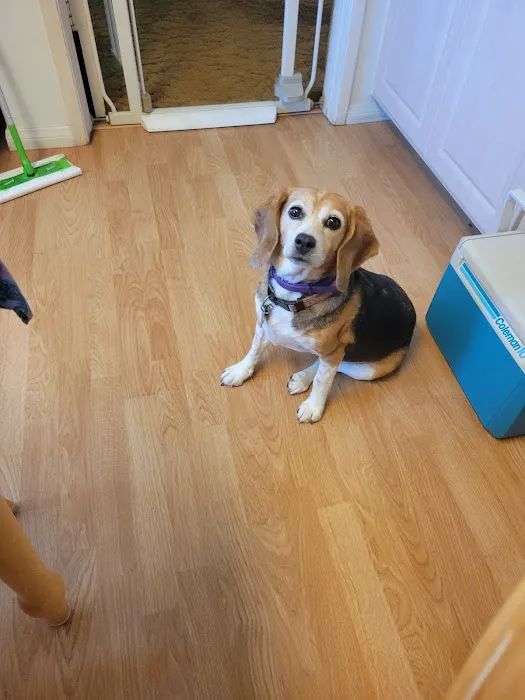 Dr. Battier's Veterinary Clinic Picture 7