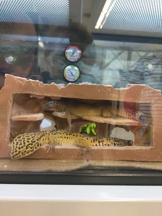 Petco Picture 5