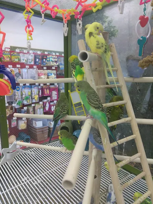 Petco Picture 7