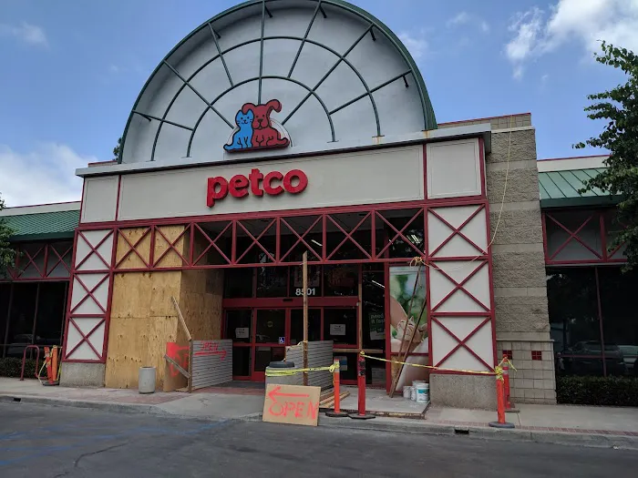 Petco Picture 9