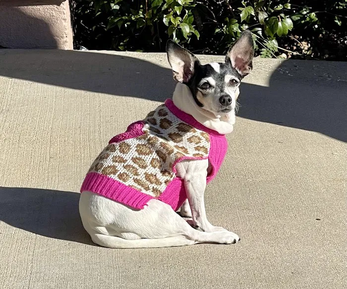 Camarillo Veterinary Hospital Picture 9