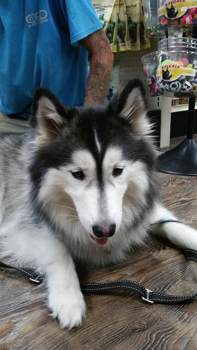 Healthy Pet Pantry Picture 1