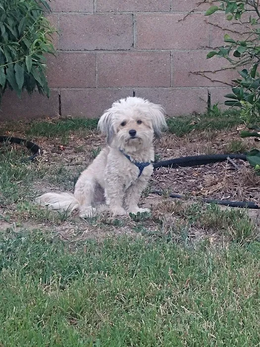 Pleasant Valley Animal Hospital Picture 3