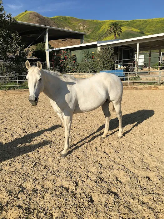 Humphrey Giacopuzzi & Associates Equine Hospital Picture 1