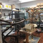 Tropic Island Bird & Supply