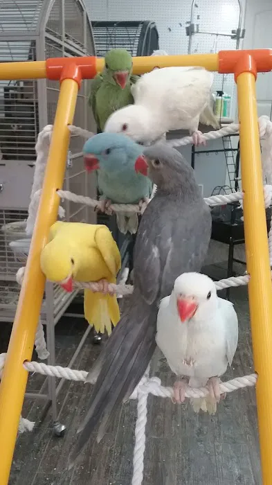 Tropic Island Bird & Supply Picture 10