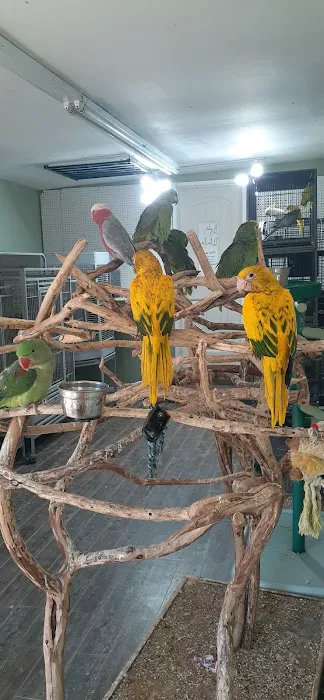 Tropic Island Bird & Supply Picture 7