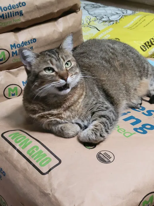 SD PET SUPPLY Picture 1
