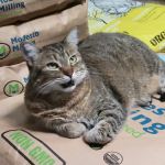SD PET SUPPLY