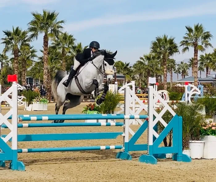 Progressive Equine Picture 7