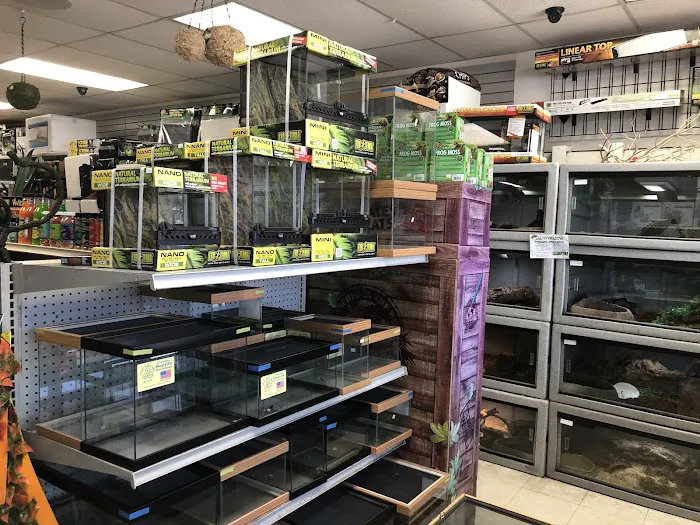 LLLReptile & Supply Mission Valley Picture 4
