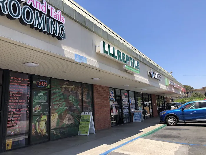 LLLReptile & Supply Mission Valley Picture 3