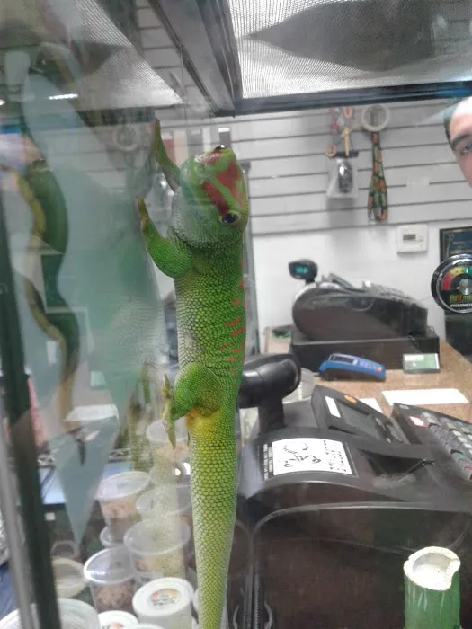 LLLReptile & Supply Mission Valley Picture 7