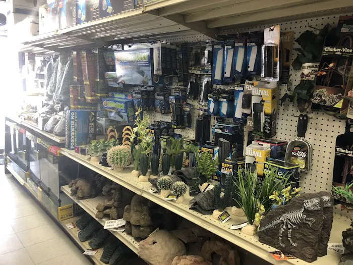 LLLReptile & Supply Mission Valley Picture 10