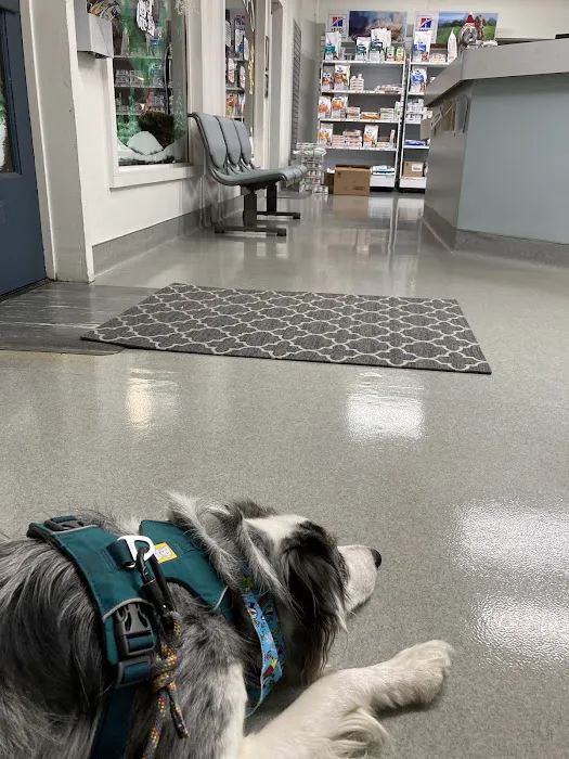 Las Posas Veterinary Medical Center Picture 10