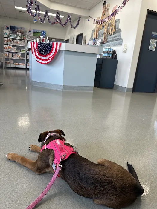 Las Posas Veterinary Medical Center Picture 9