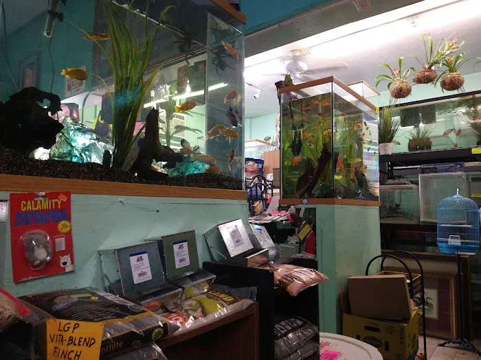 Lemon Grove Pet supplies and EXOTICS Picture 1