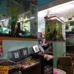 Lemon Grove Pet supplies and EXOTICS