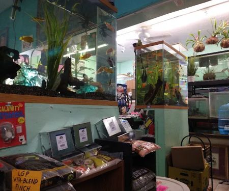 Lemon Grove Pet supplies and EXOTICS