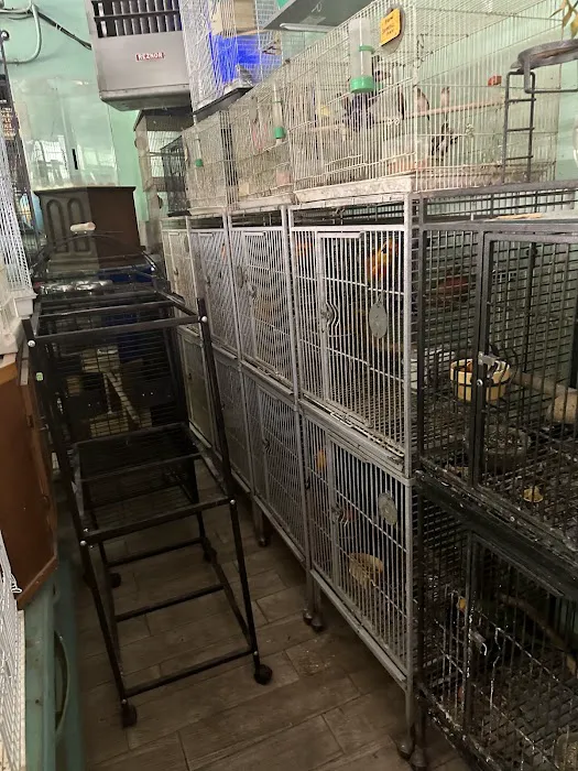 Lemon Grove Pet supplies and EXOTICS Picture 4