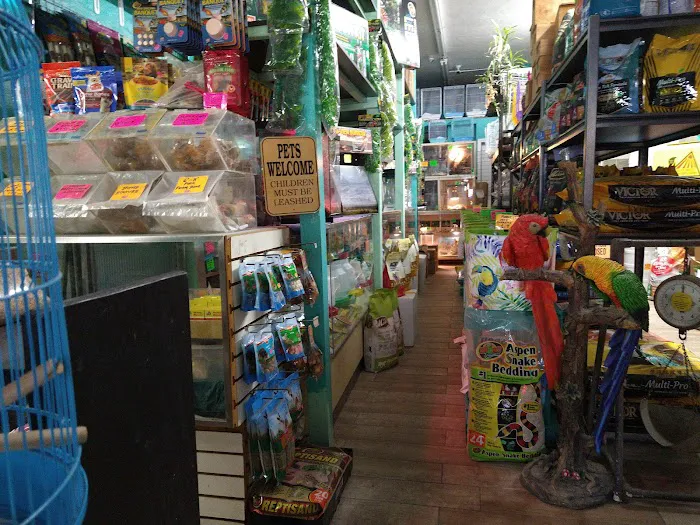 Lemon Grove Pet supplies and EXOTICS Picture 3