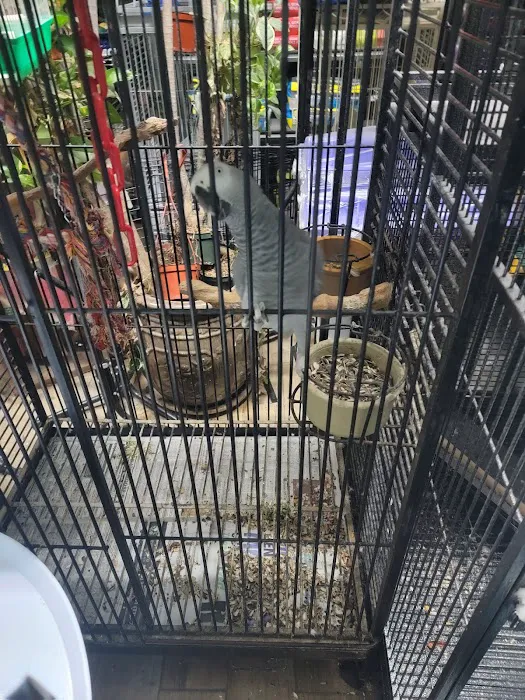 Lemon Grove Pet supplies and EXOTICS Picture 6