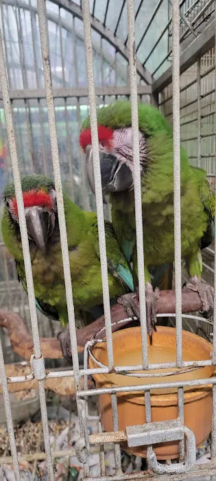 Lemon Grove Pet supplies and EXOTICS Picture 7