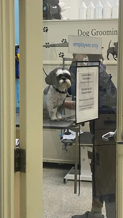Petco Picture 1