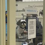 Petco