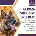 Big Island Shepherds