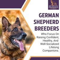Big Island Shepherds ico