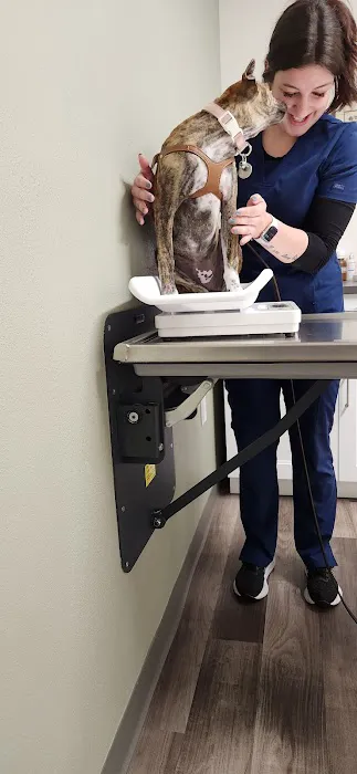 Sycamore Veterinary Hospital Picture 1