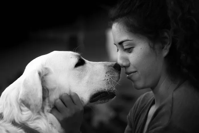 Sycamore Veterinary Hospital Picture 7