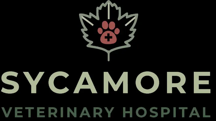 Sycamore Veterinary Hospital Picture 4