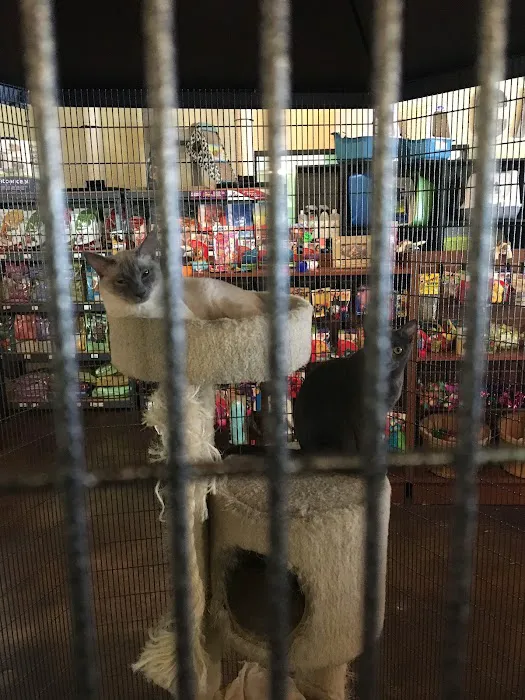 Natural Instincts Healthy Pet Center Picture 1