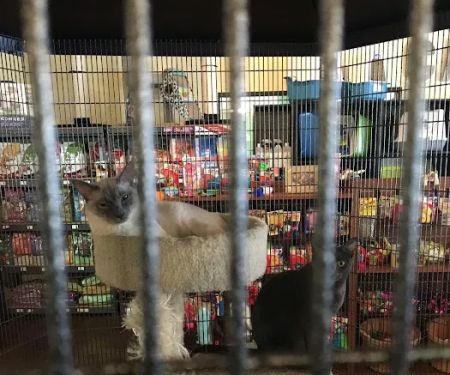 Natural Instincts Healthy Pet Center