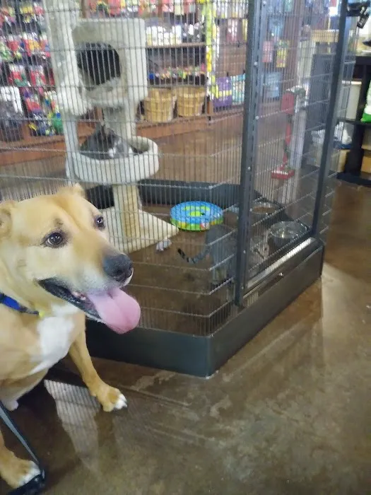 Natural Instincts Healthy Pet Center Picture 6