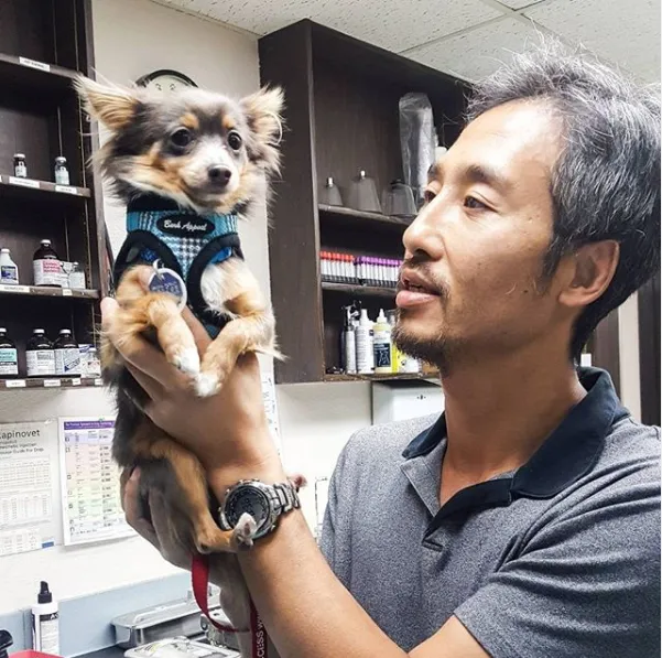 Rancho Sequoia Veterinary Hospital Picture 9