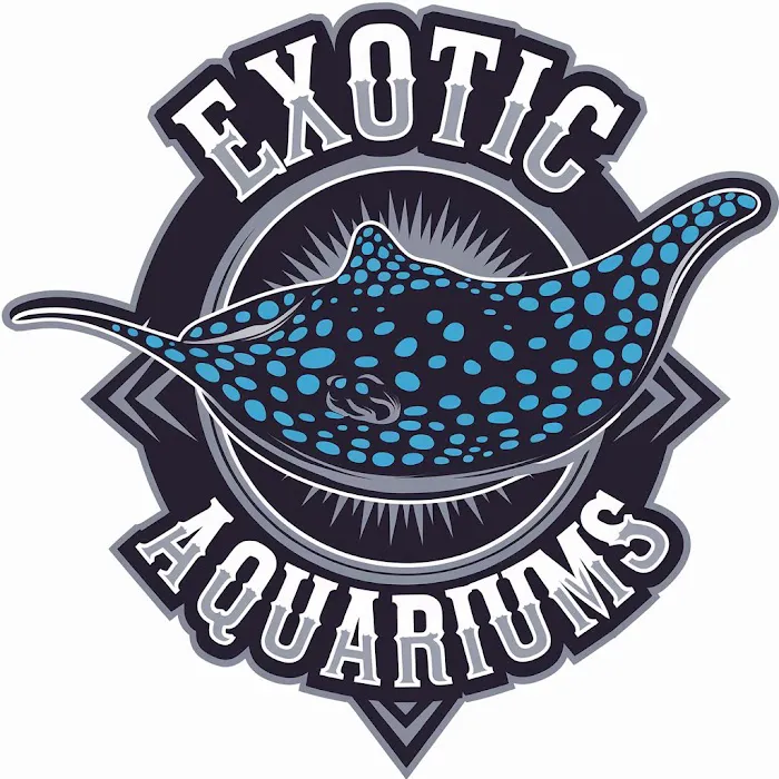 Exotic Aquariums Picture 7