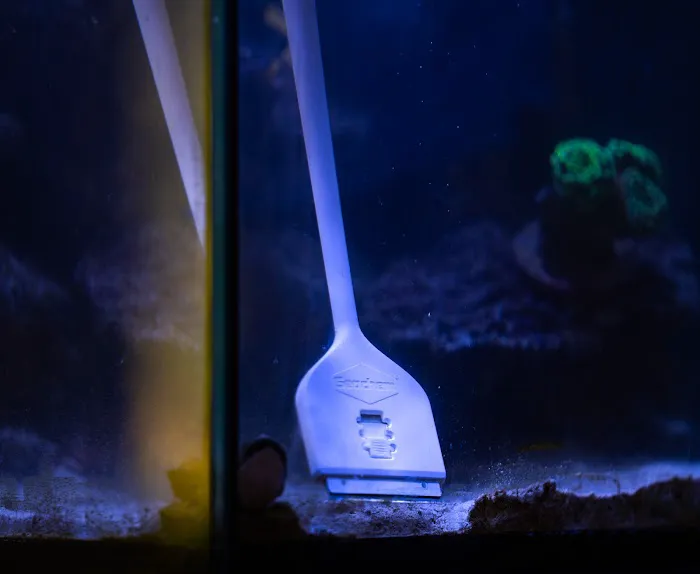 Exotic Aquariums Picture 3