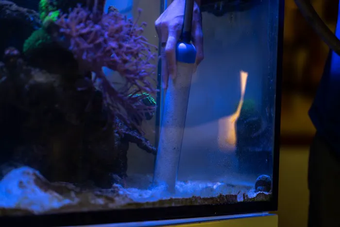 Exotic Aquariums Picture 6