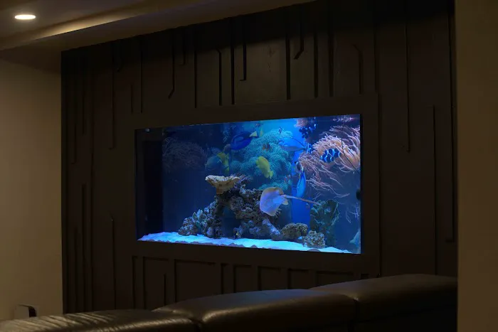 Exotic Aquariums Picture 5