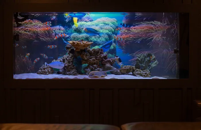 Exotic Aquariums Picture 10
