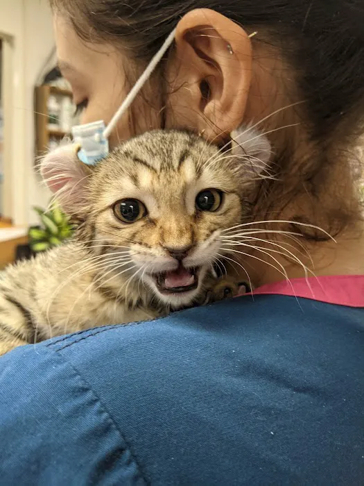 Agoura Animal Clinic Picture 7