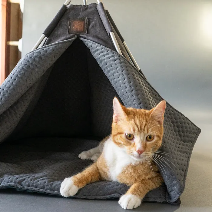 Petnah Luxury Pet Products Picture 6