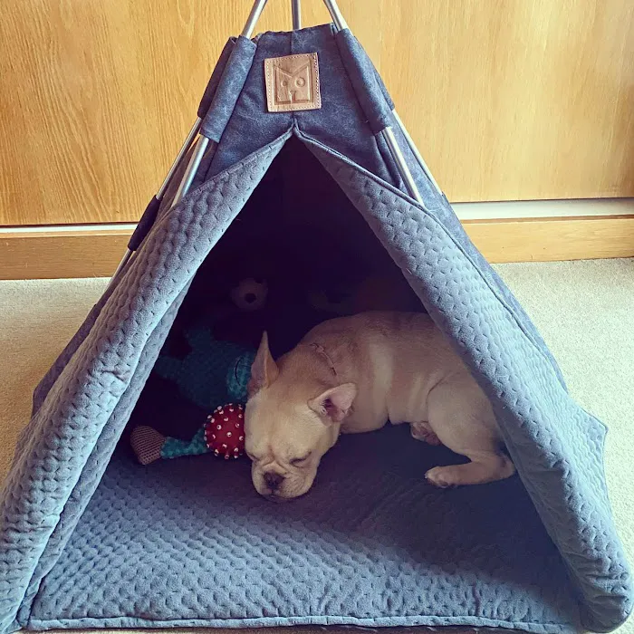 Petnah Luxury Pet Products Picture 7