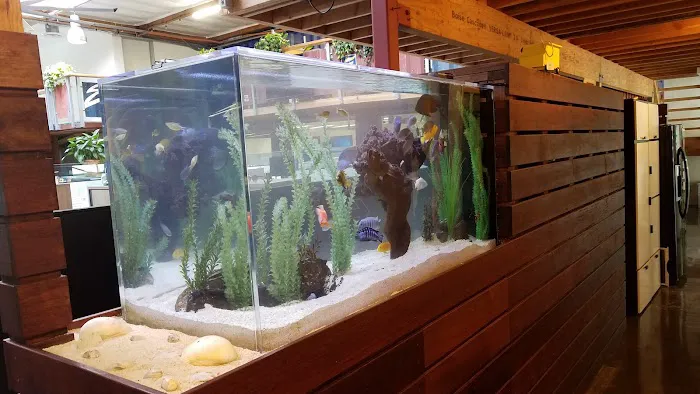 San Diego Aquarium Cleaning Picture 3