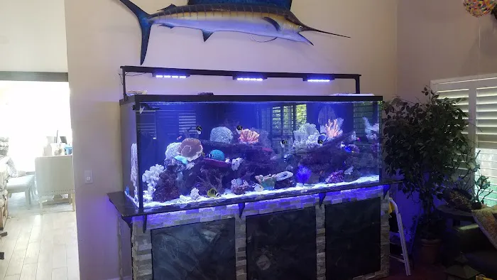 San Diego Aquarium Cleaning Picture 2