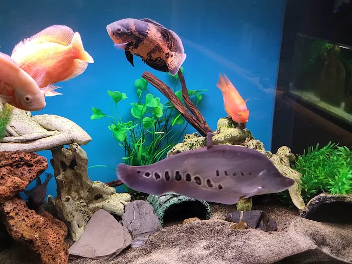 San Diego Aquarium Cleaning Picture 4