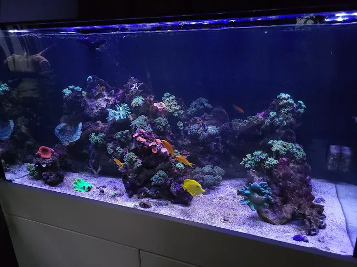 San Diego Aquarium Cleaning Picture 5